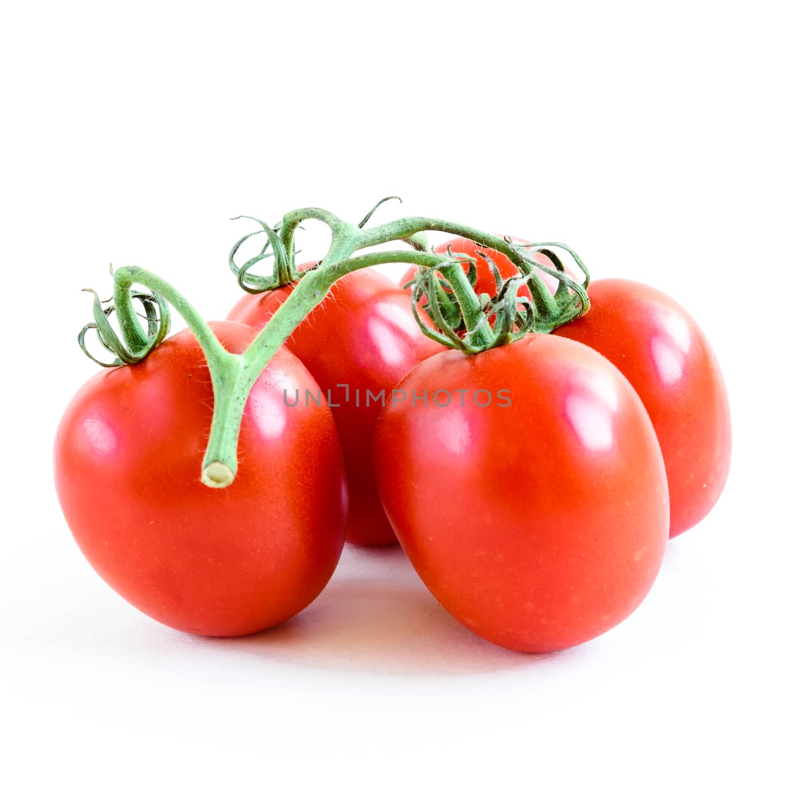 Four on the vine Roma tomatoes isolated on white background. Cluster of vine ripened fruits still attached to the stems. Organic tomatoes with clipping path and copy space