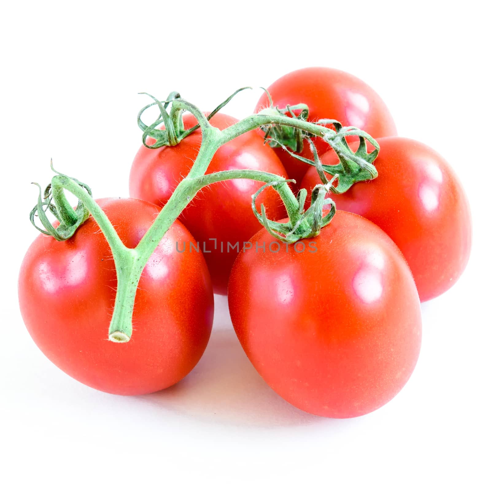 Studio shot organic four on vine ripened Roma tomatoes isolated on white background by trongnguyen