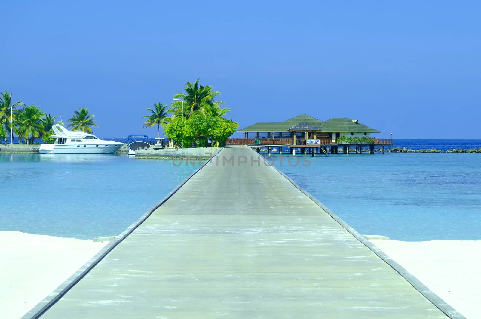 Tropical Maldives island with beach , sea , and coconut palm tree on blue sky .Holiday vacation concept.