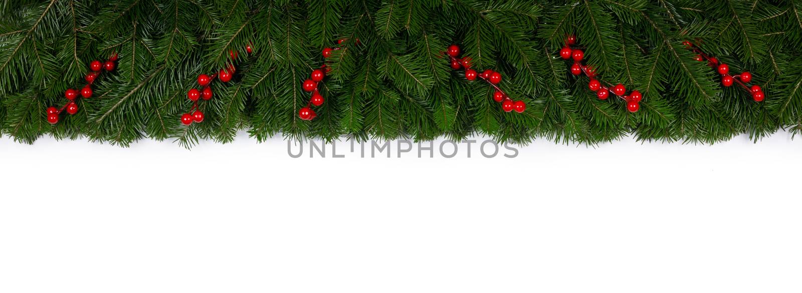 Christmas Border frame of tree branches and red berries on white background with copy space isolated