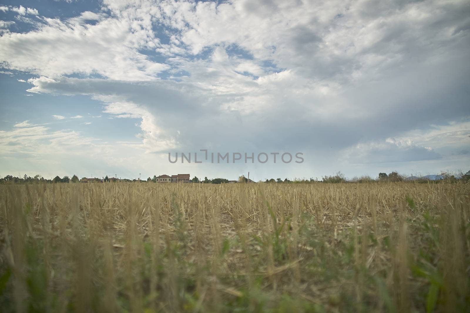 A simple rural landscape by pippocarlot