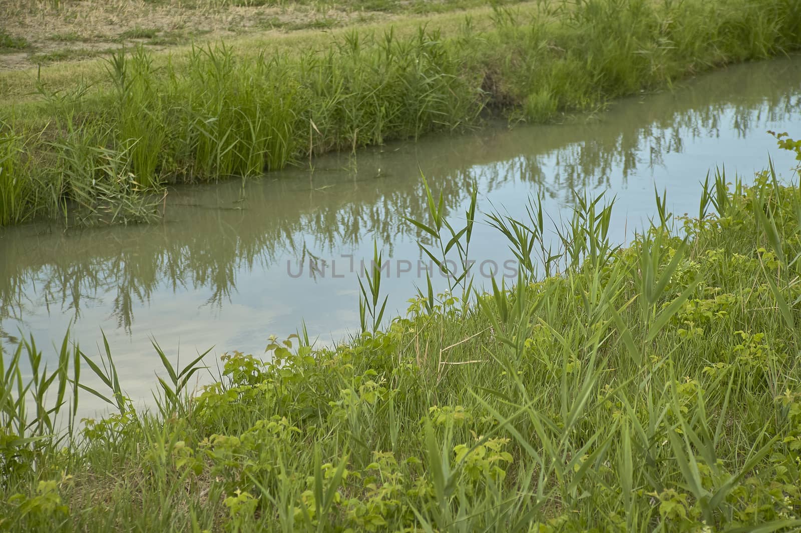 Shooting of a small ditch, stream, in a typical rural, rural area of the Padana plain used for irrigation of fields.