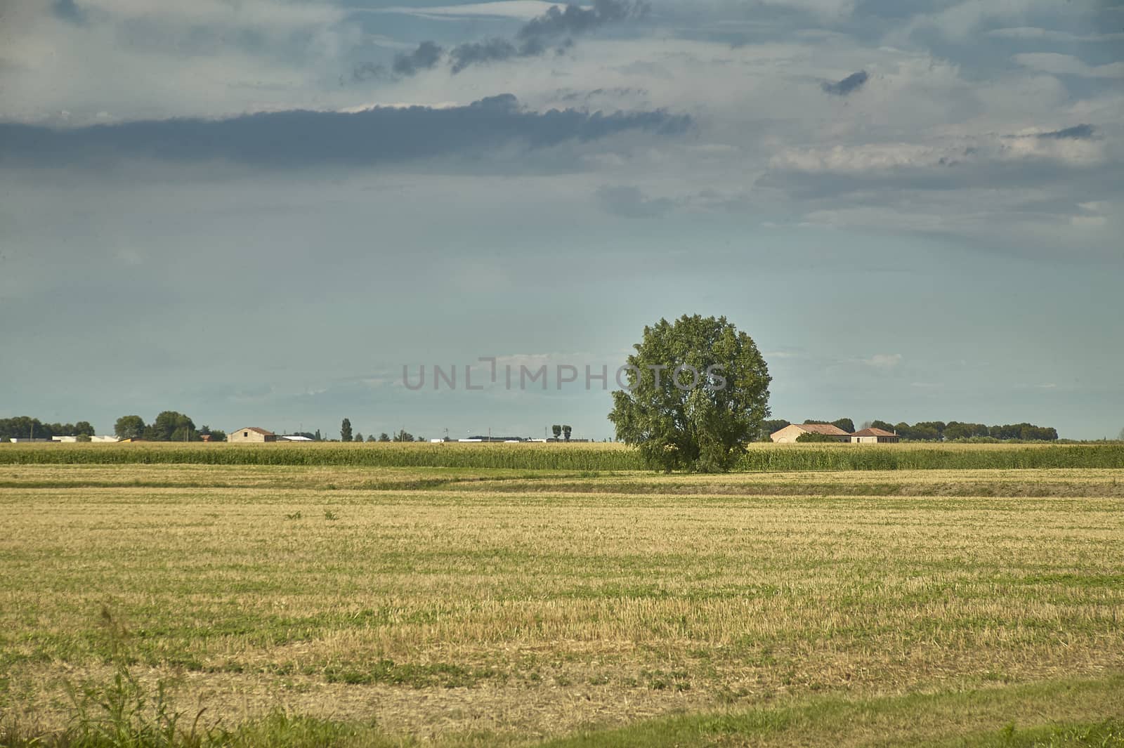 Country landscape resold at ground level, where you can see the remains of a newly threshed culture, the sky and the clouds and a typical country house in northern Italy on the bottom.