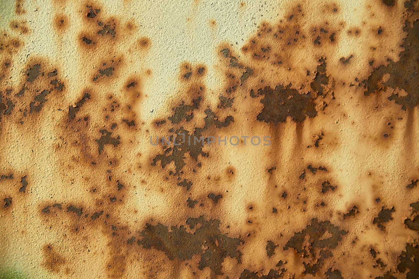High definition texture of a rusty, weathered ferrous surface.