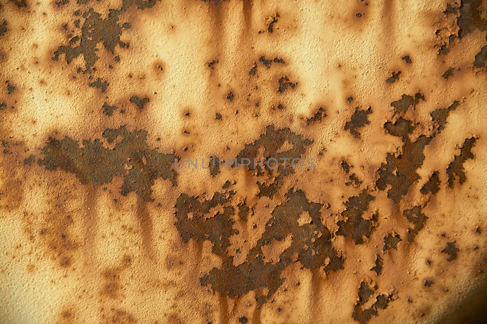 Surface rusty texture by pippocarlot