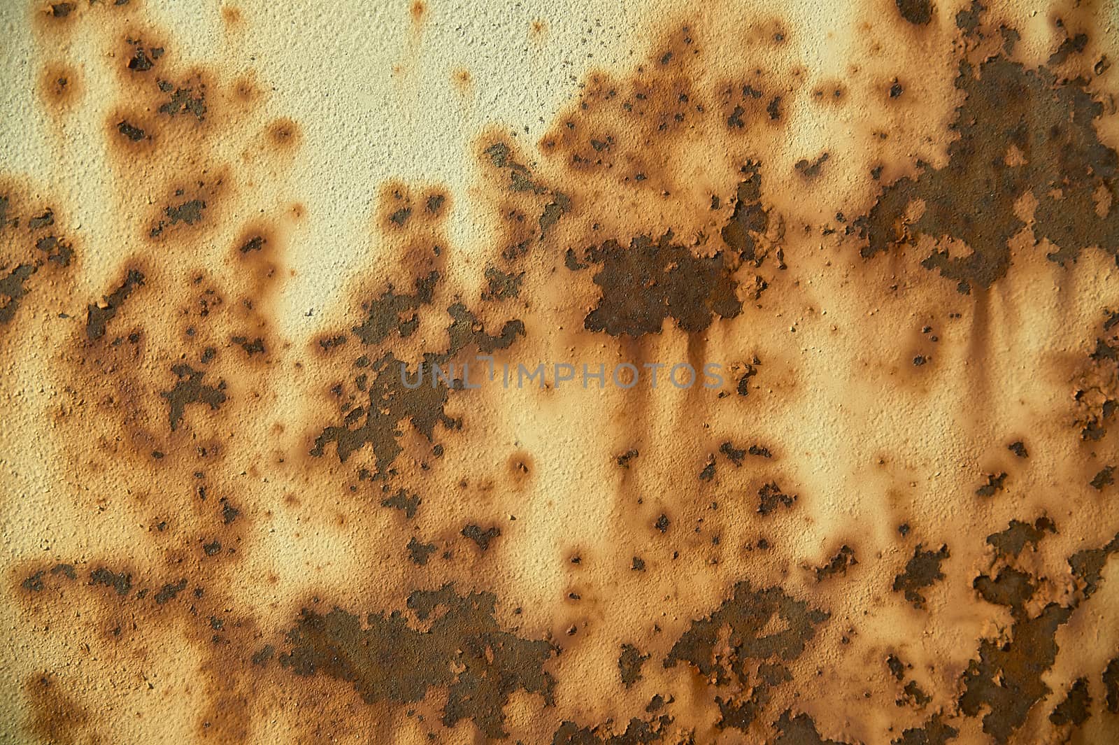 High definition texture of a rusty, weathered ferrous surface.