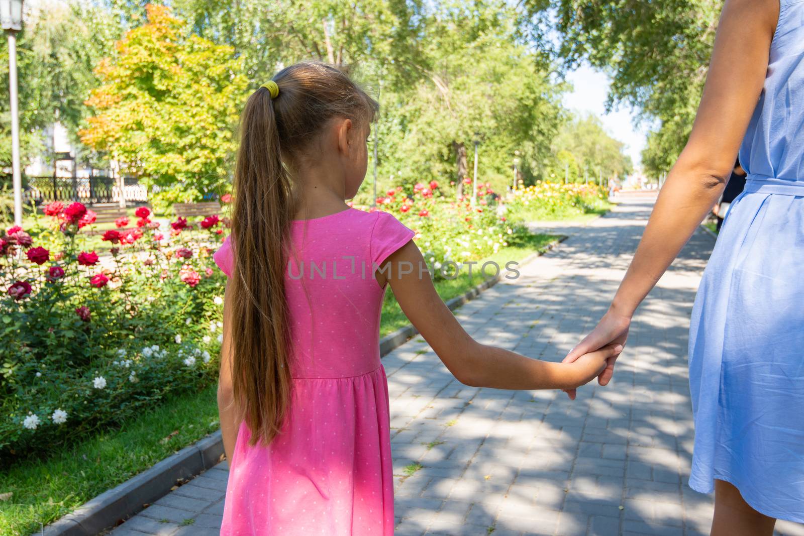 A girl walks along the alley and holds mom's hand