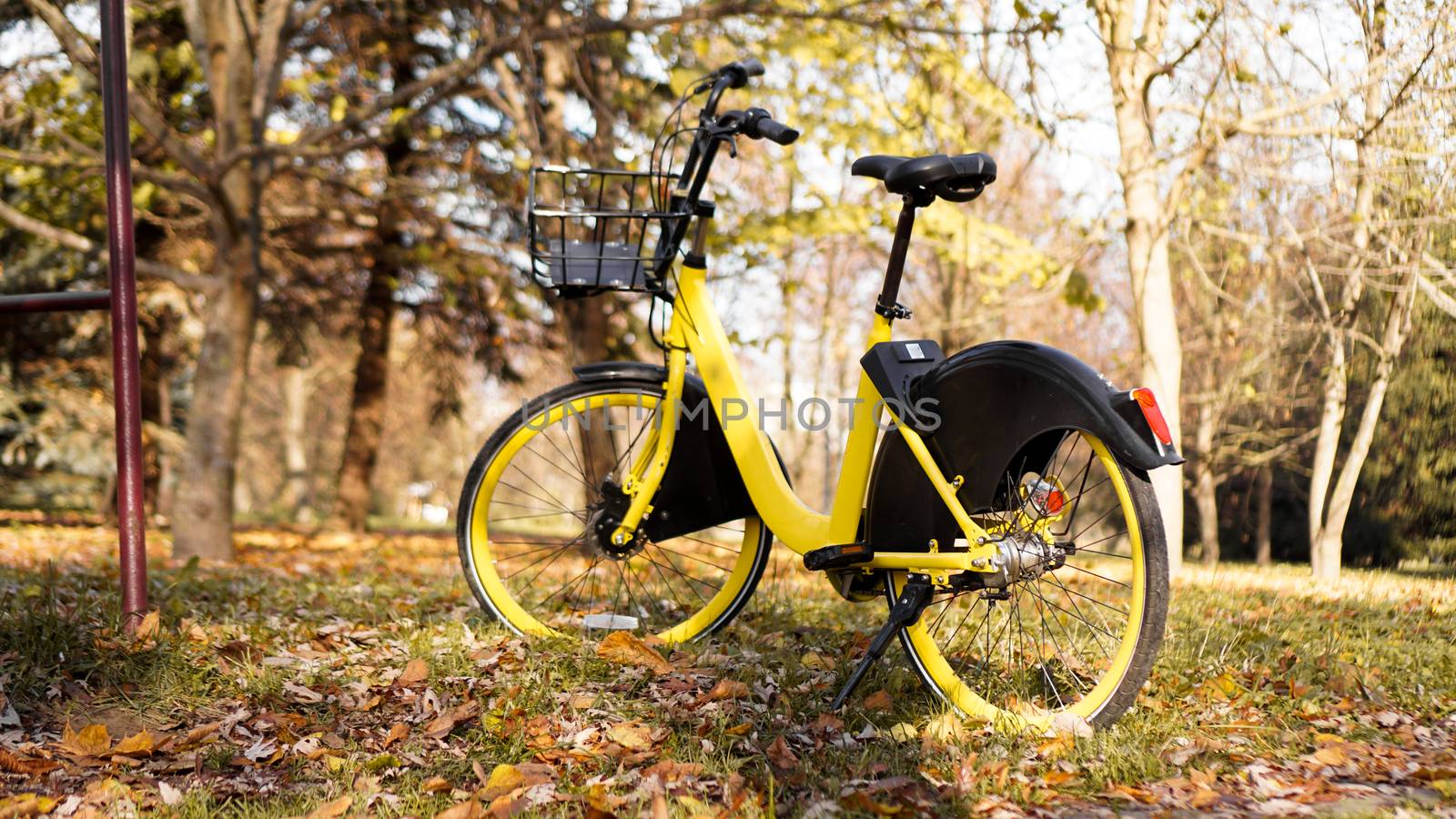 Yellow bike with fallen leaves in the setting sun. Autumn park - sunny day