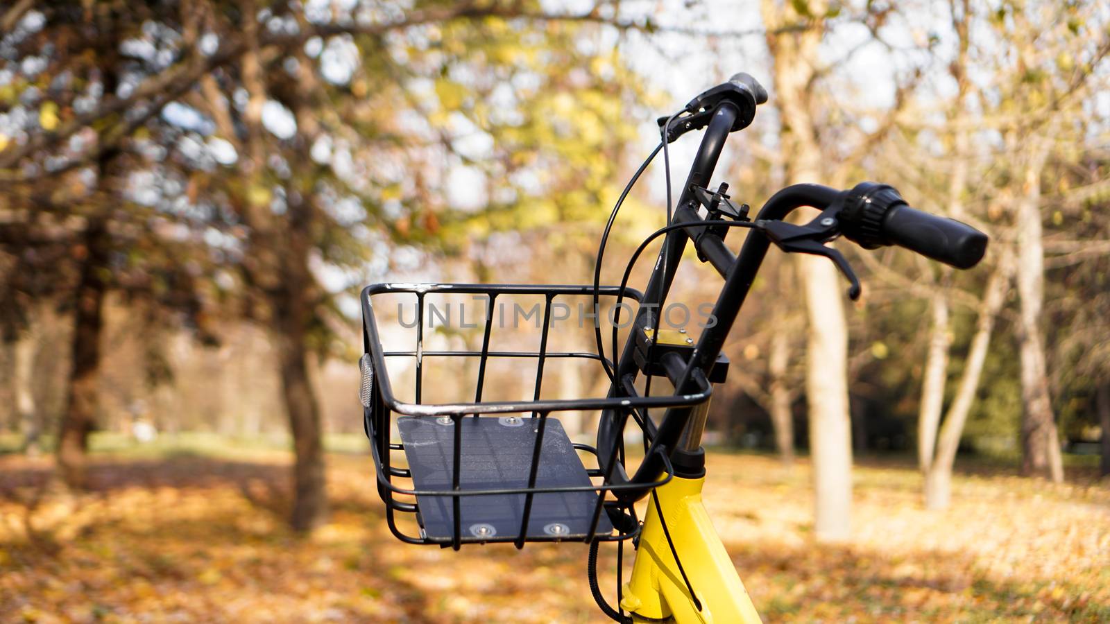 Yellow bike with fallen leaves in the setting sun. Autumn park - sunny day