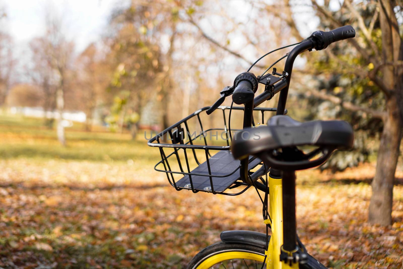 Yellow bike with fallen leaves in the setting sun. Autumn park - sunny day