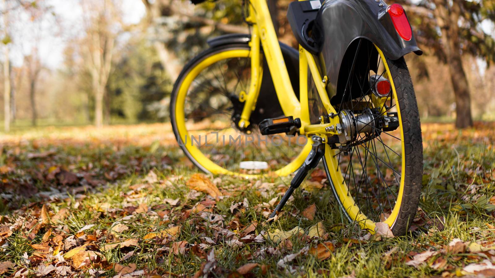 Yellow bike with fallen leaves in the setting sun. Autumn park by natali_brill