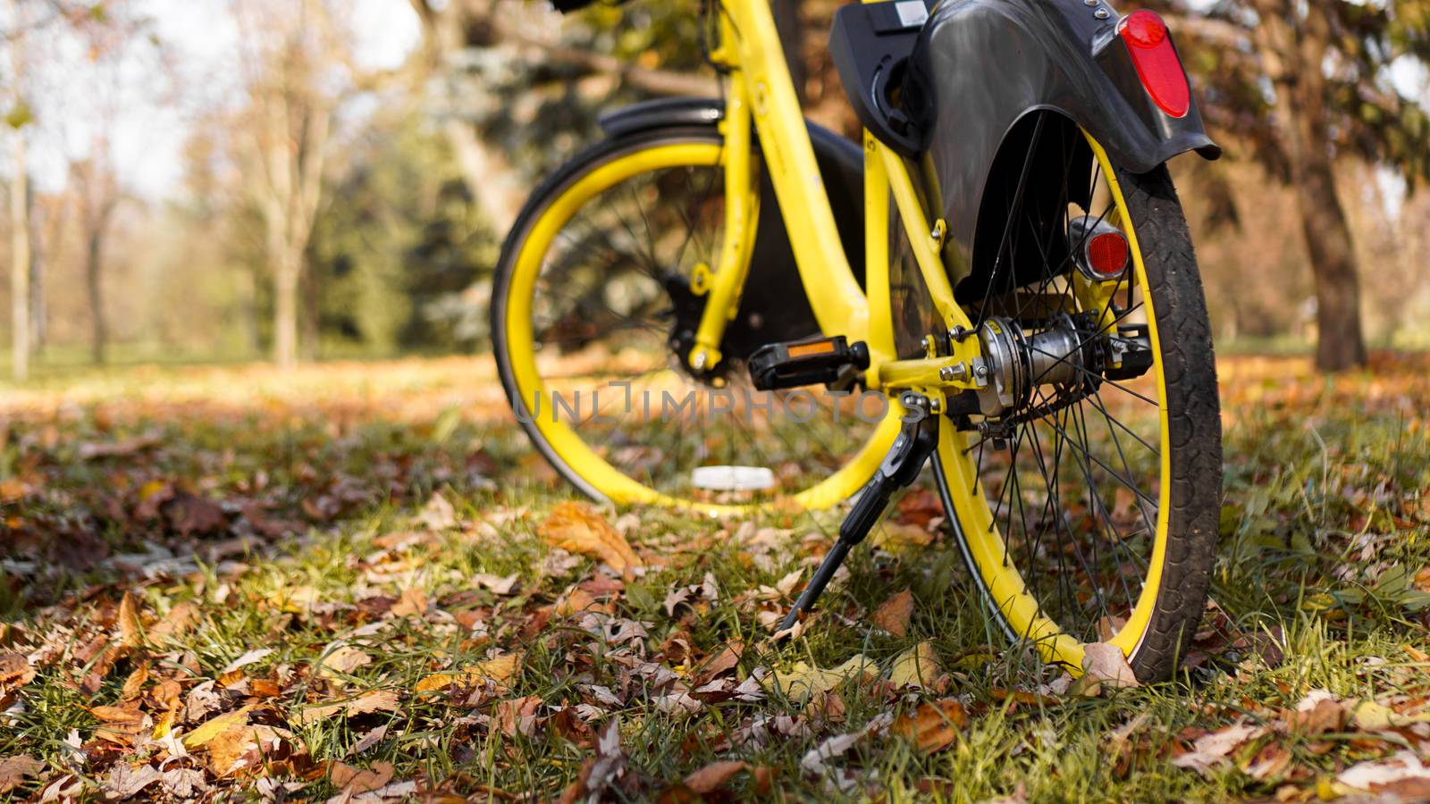 Yellow bike with fallen leaves in the setting sun. Autumn park - sunny day