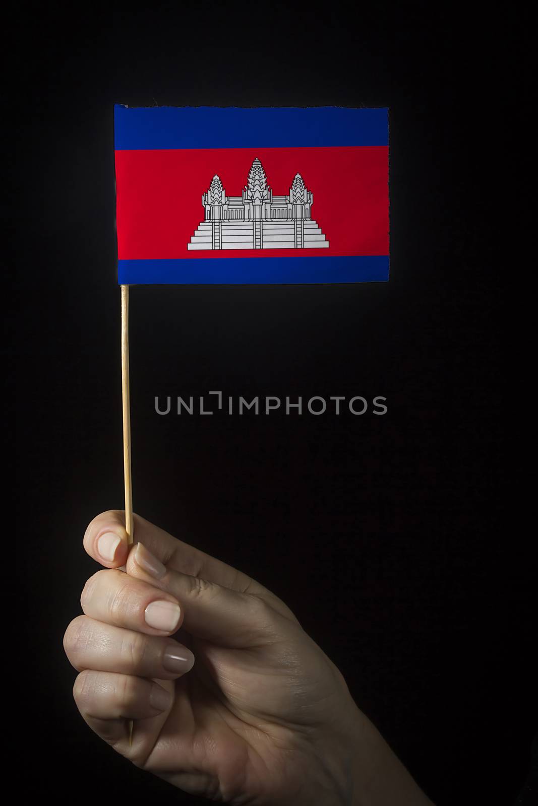 Hand with small flag of state of Cambodia