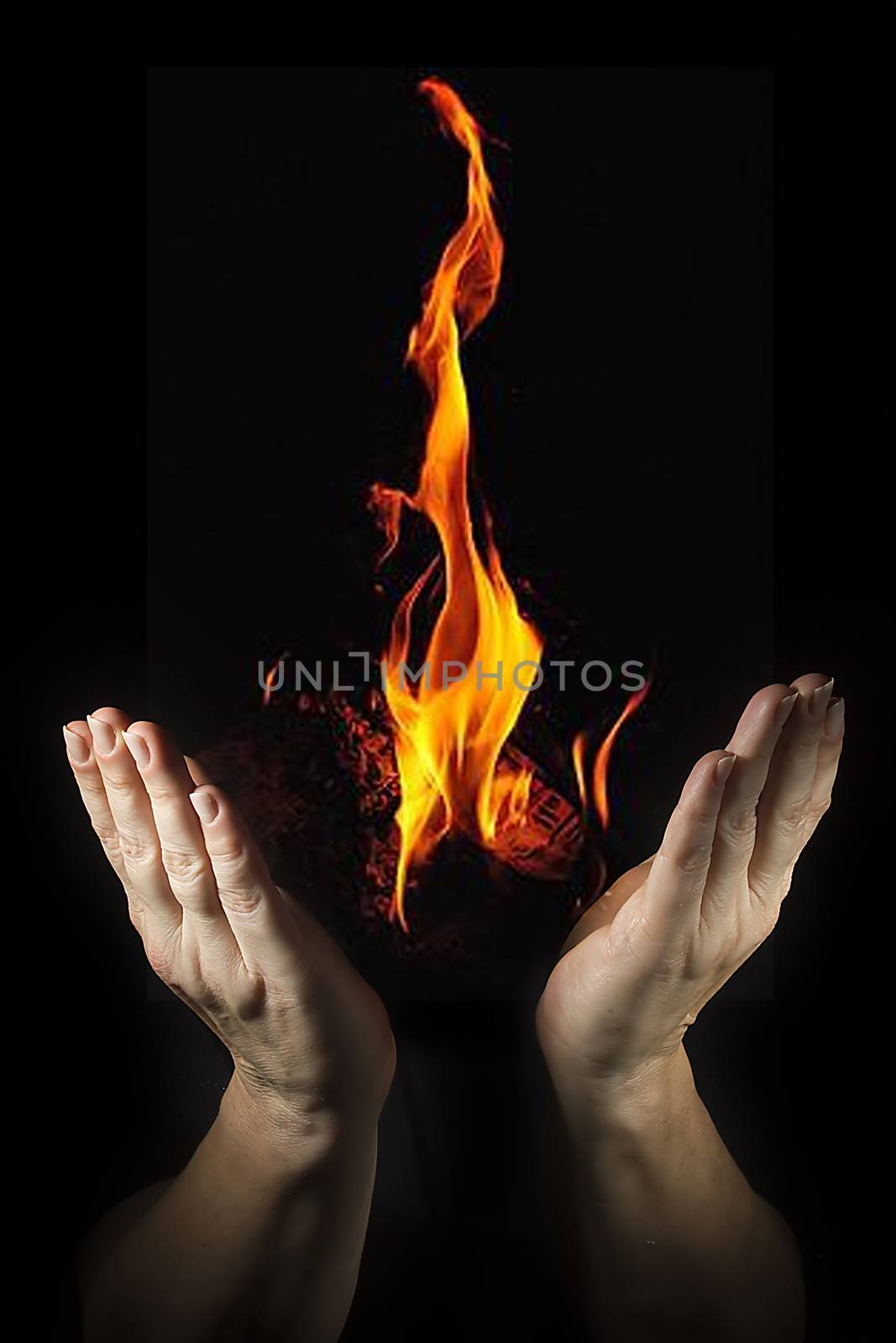 Fire burning between female palms on a black background
