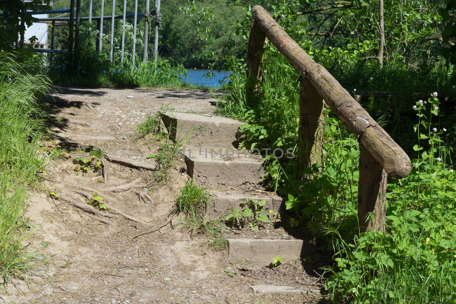 Stairs in the forest towards the sunset