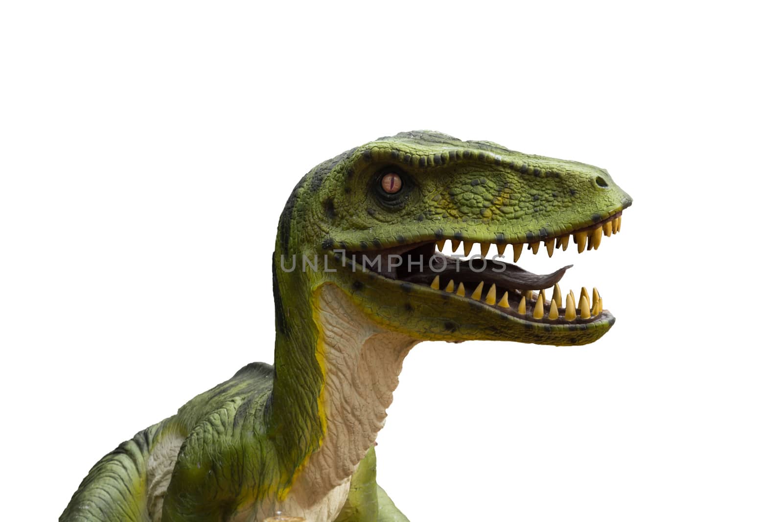 Primeval dinosaur tyrannosaurus in front of white background with copy space