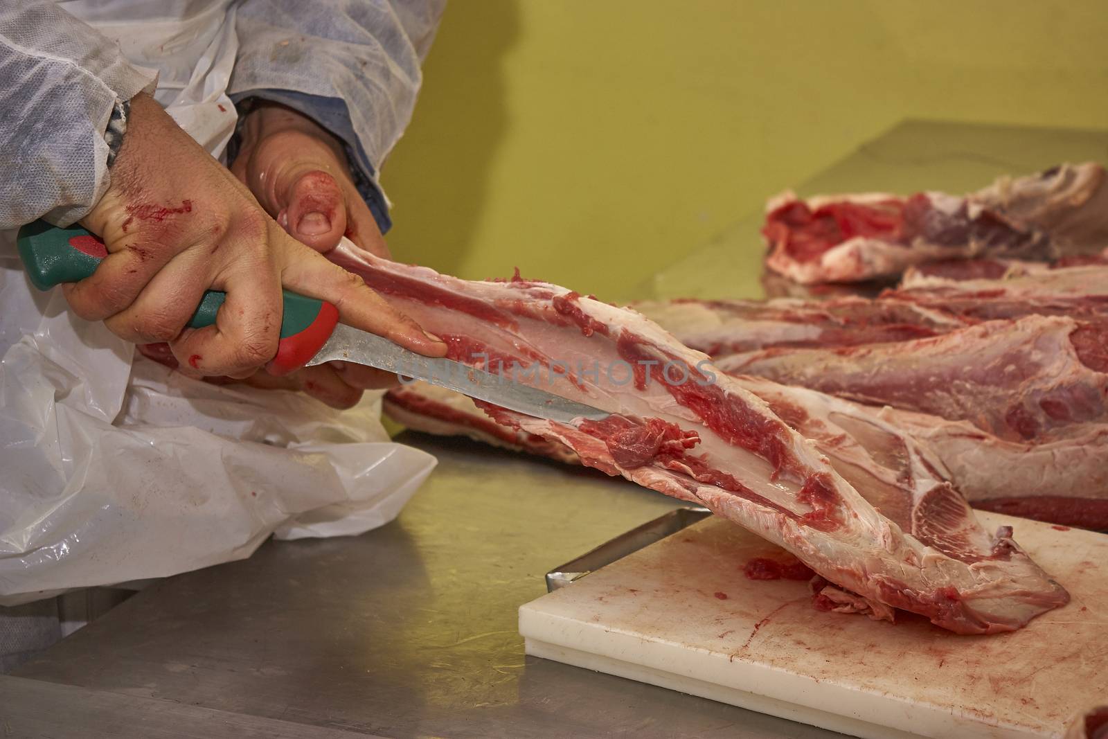 Butcher cleaning the meat from impurities by pippocarlot