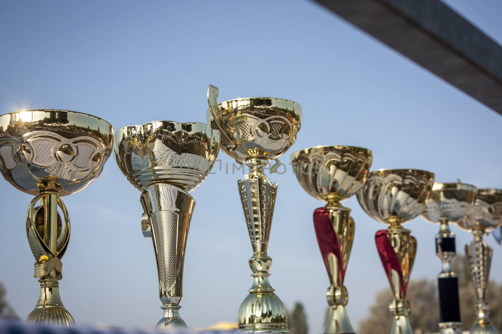 A set of cups or trophies ready to be delivered to the winners of the race