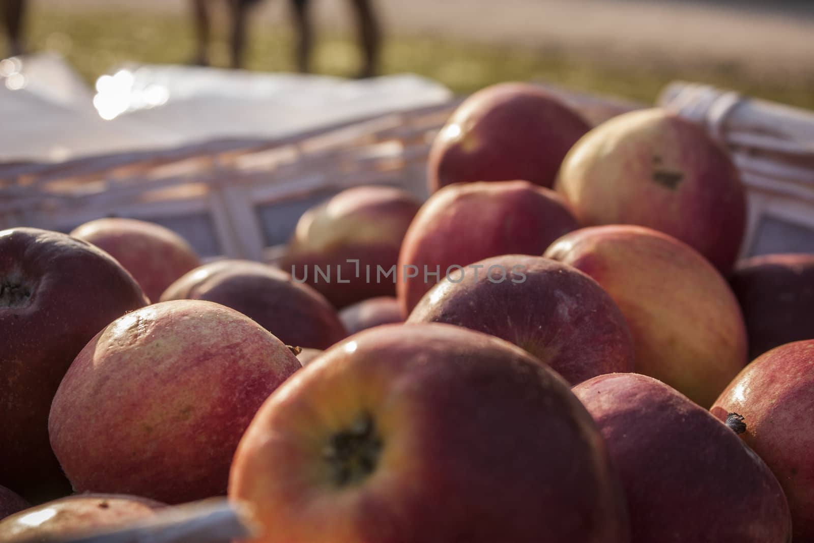 Many red apples in a basket at the market.