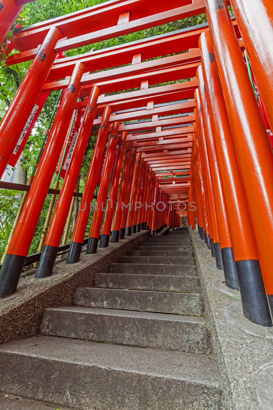 The stairs lead up under Japanese traditional red Tori gates in Tokyo