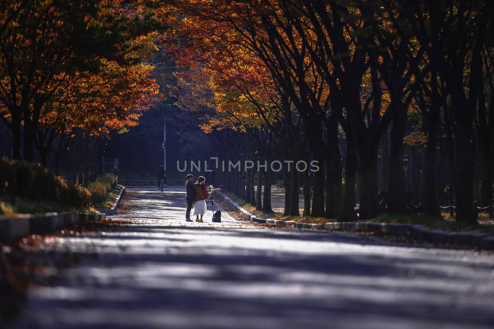 Naejangsan national park in autumn, South korea