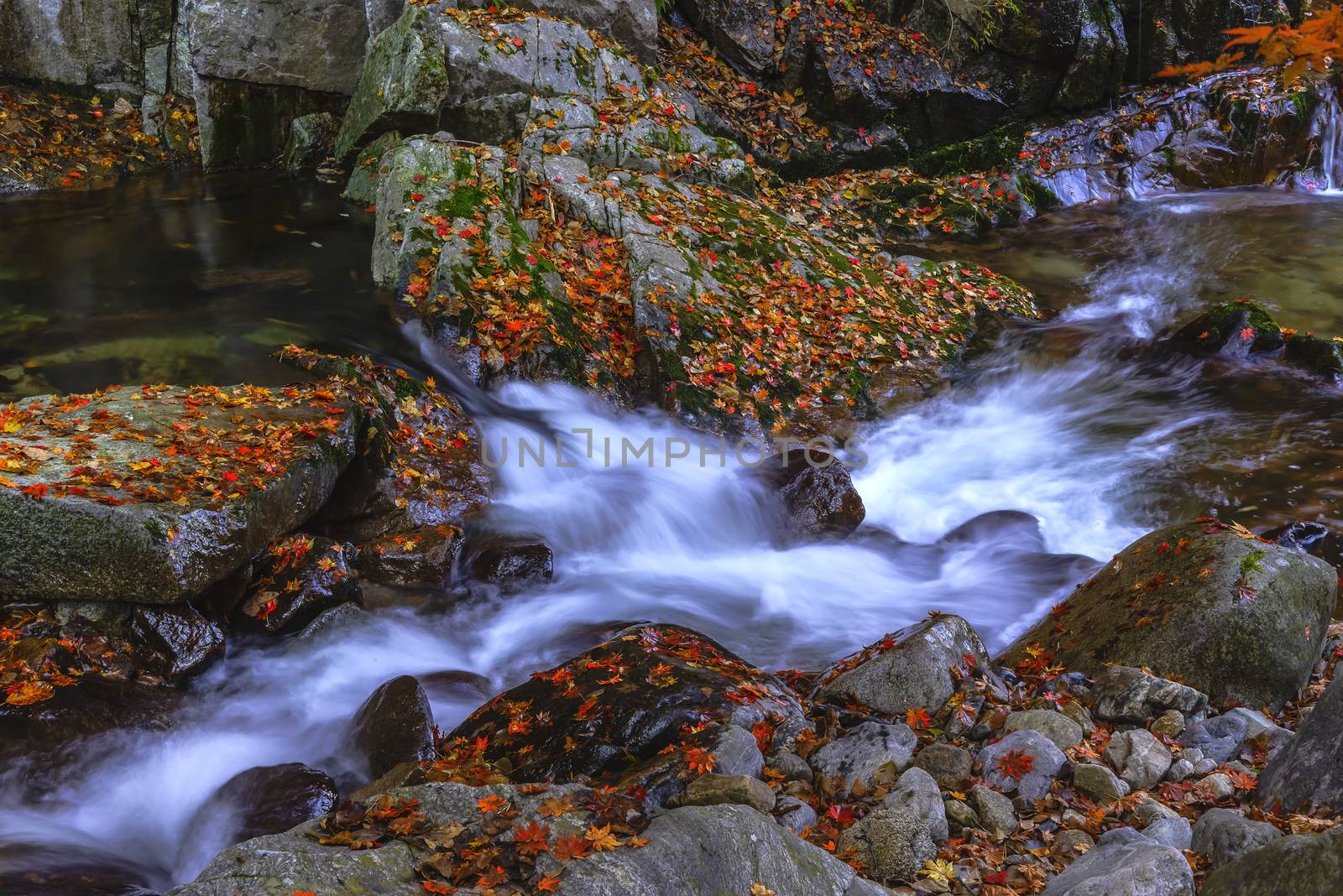 Leaves change color and waterfall at Seoraksan nation park in South Korea.