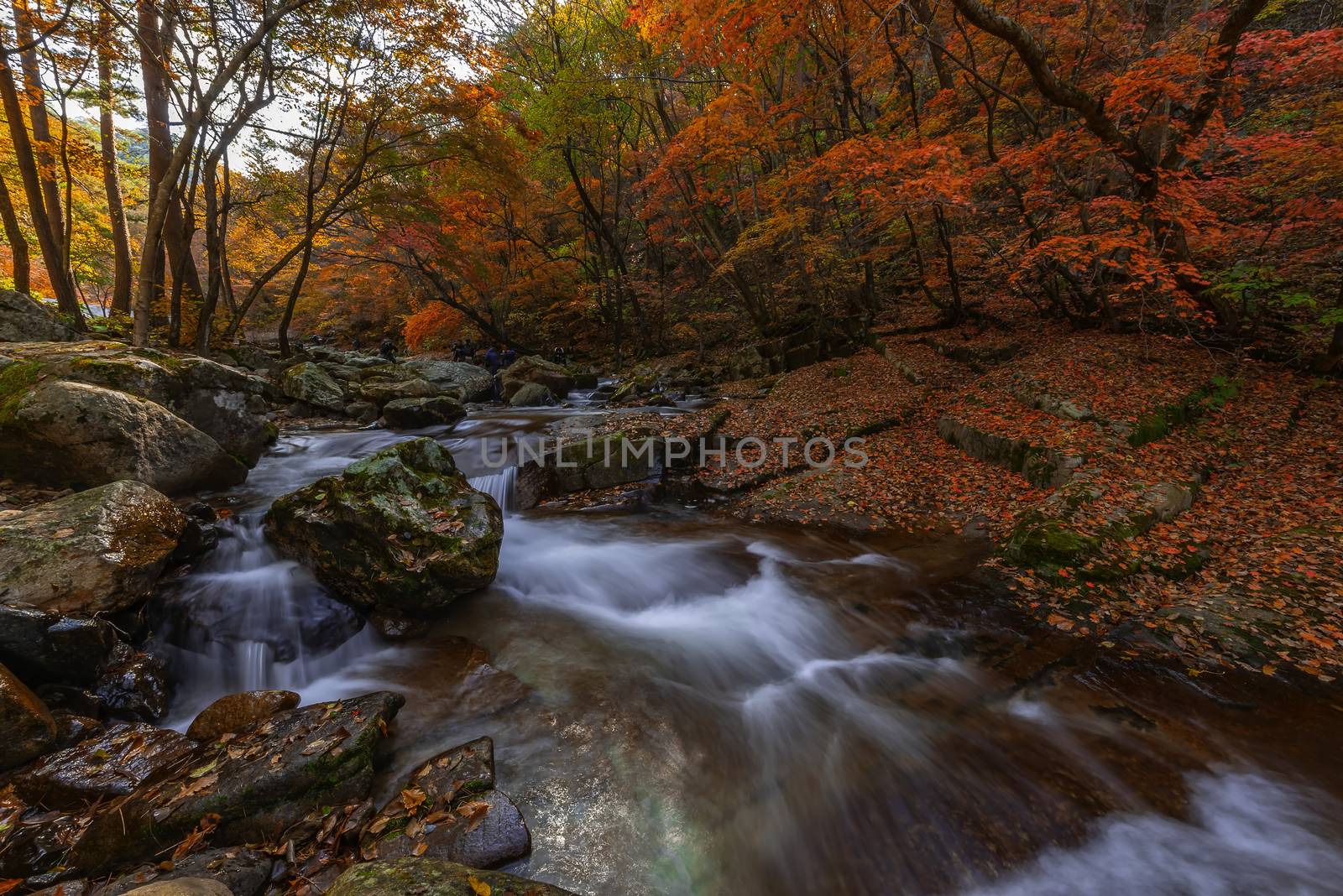 Leaves change color and waterfall at Seoraksan nation park in South Korea.