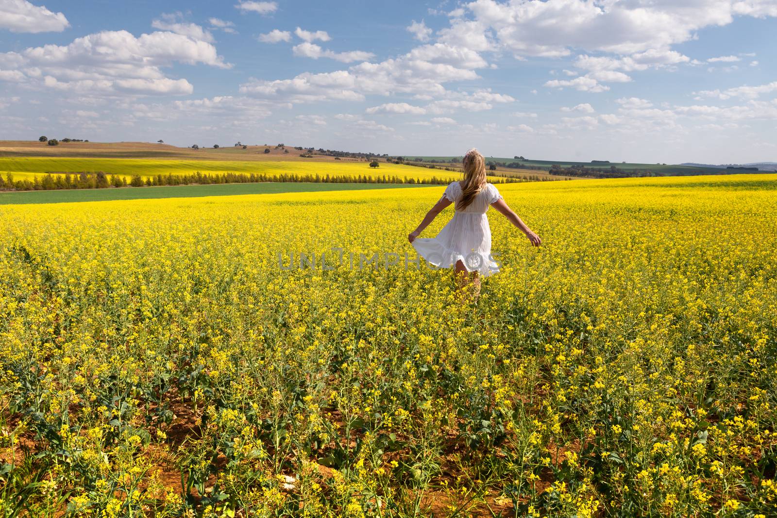 Country girl wearing simple cotton white dress frollicking in fields of golden canola in spring sunshine