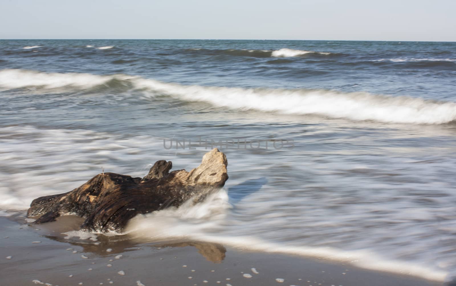 sea floating with waves crashing on a wooden stump sandwiched on shore on the sand.