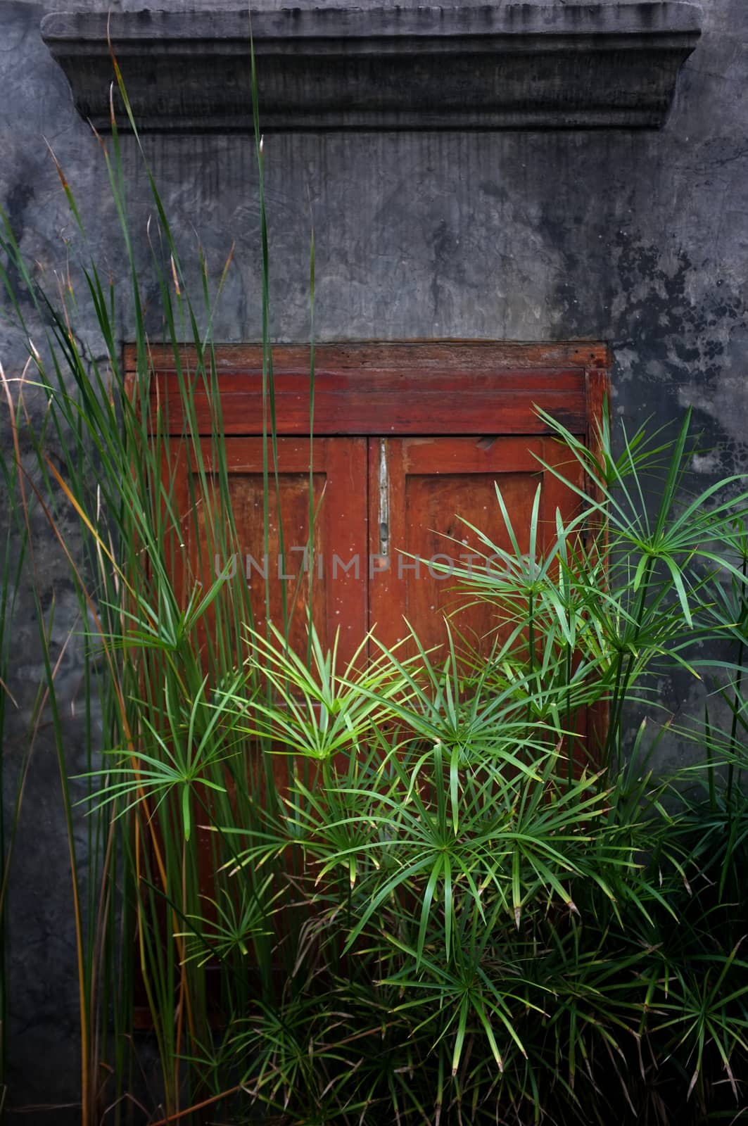 Old cement wall with wood window with sun set. Evening light on wall.