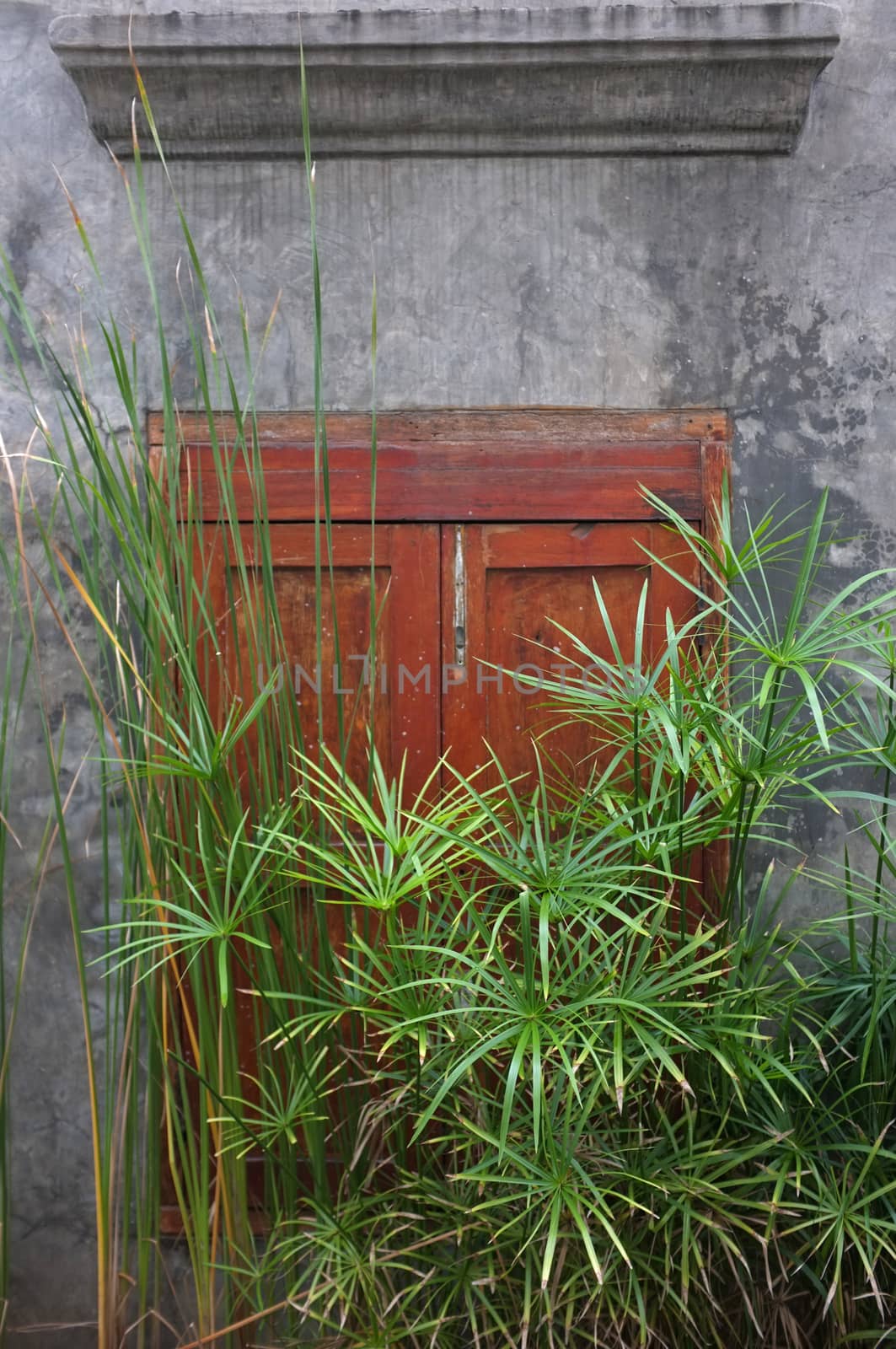 Old cement wall with wood window with sun set. Evening light on wall.