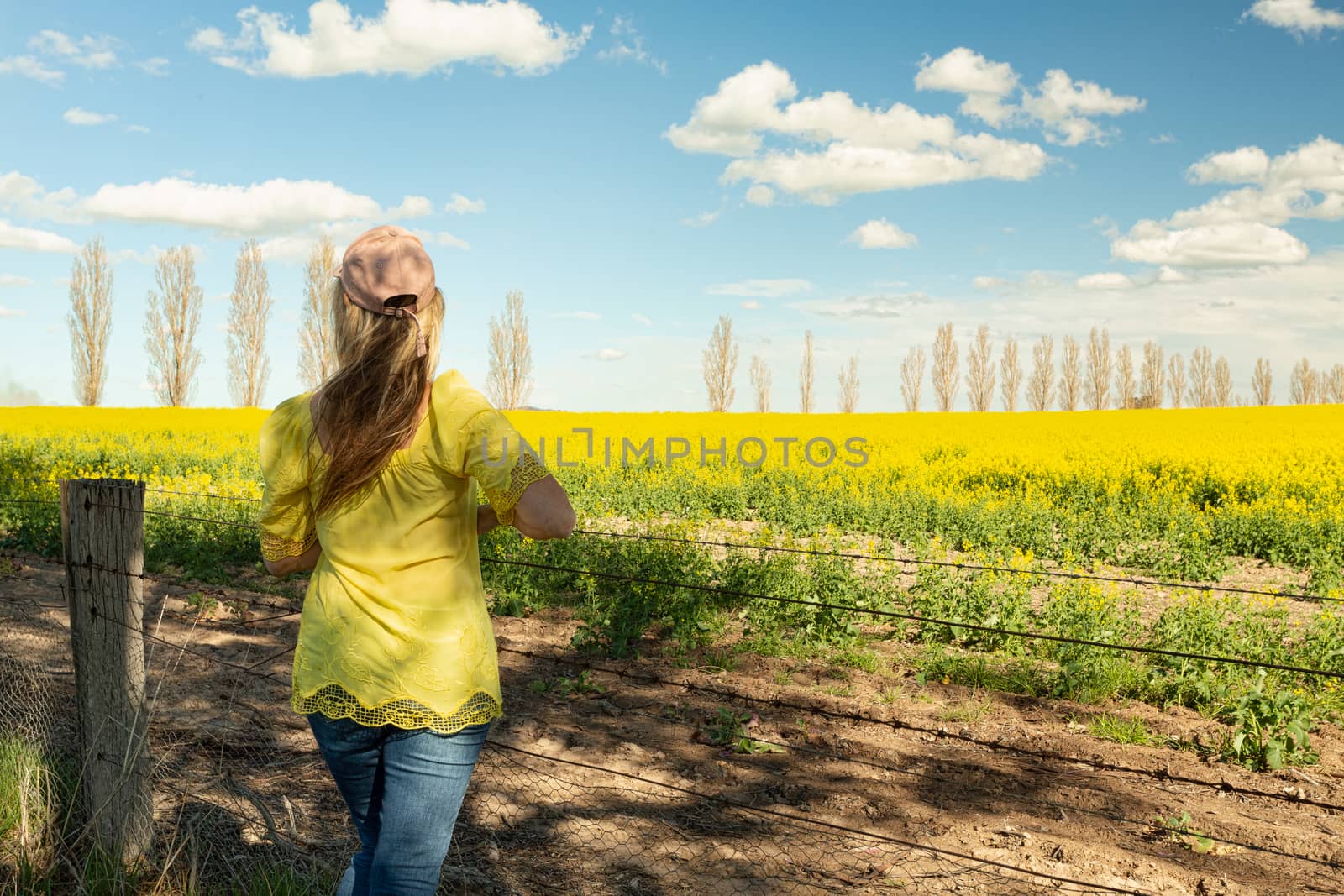 Woman admires the rural farming fields of canola flowering in the spring sunshine
