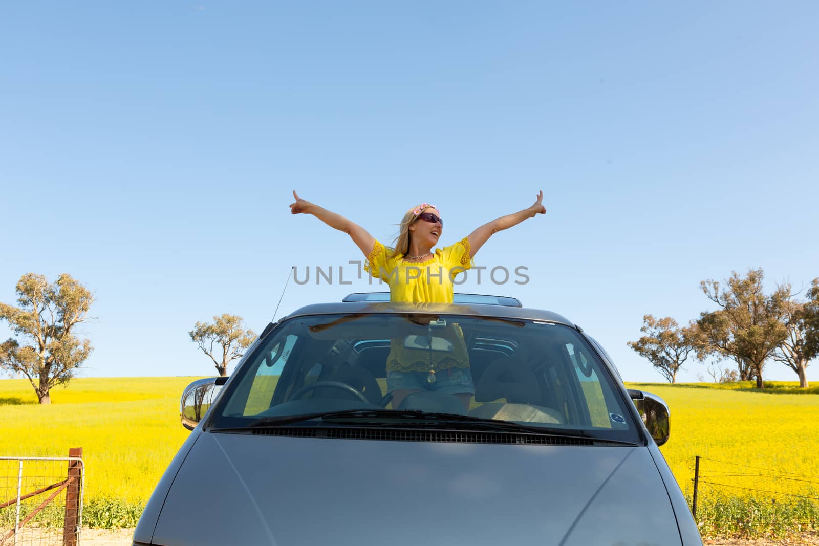 Happy woman standing out the sunroof of her 4wd car by canola fi by lovleah