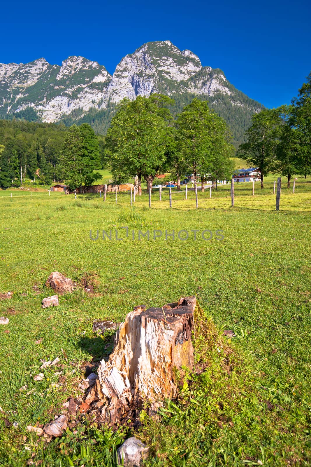 Ramsau valley in Berchtesgaden Alpine region landscape view, Bavaria region of Germany