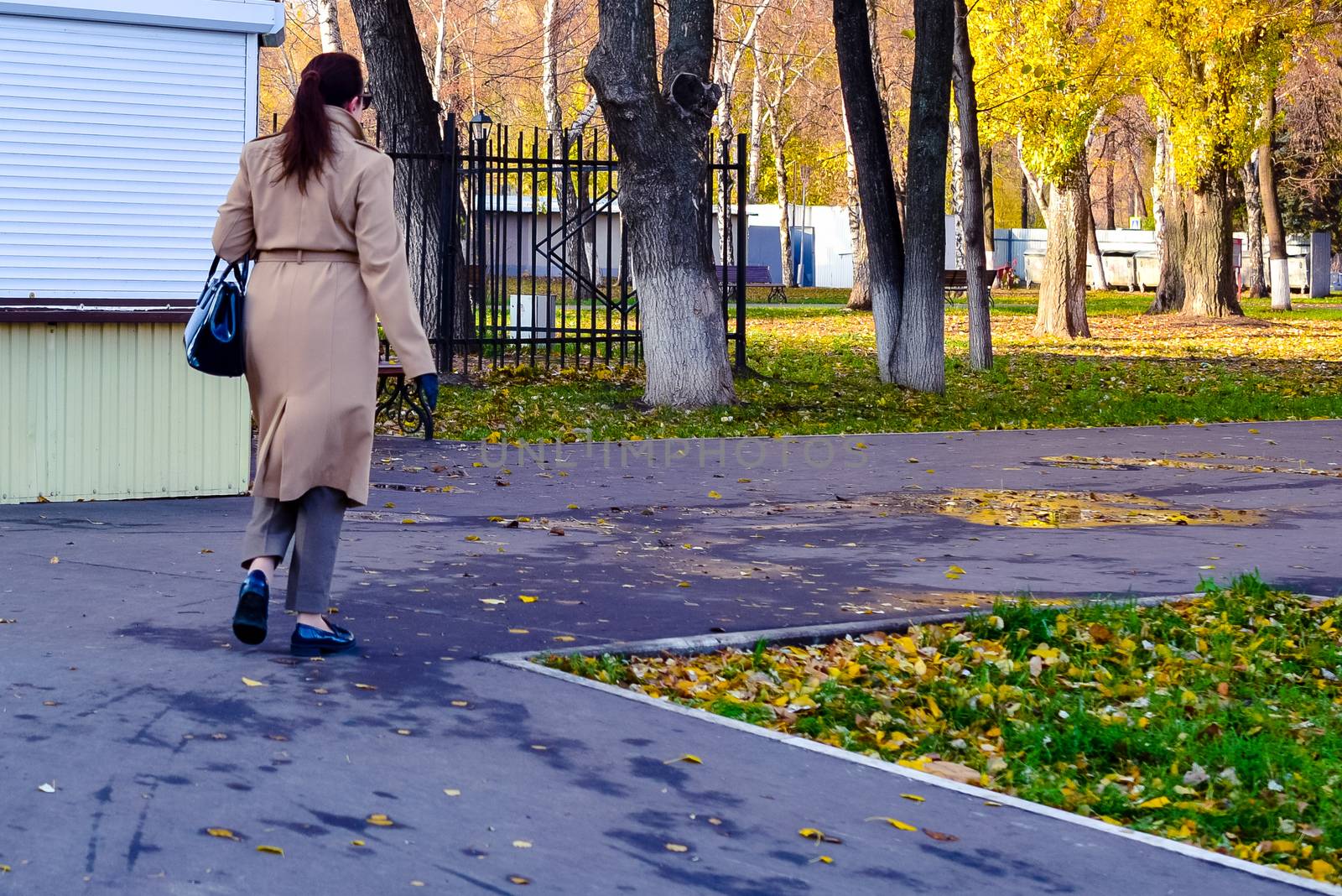 simple and sports walks in the Park in mid-autumn