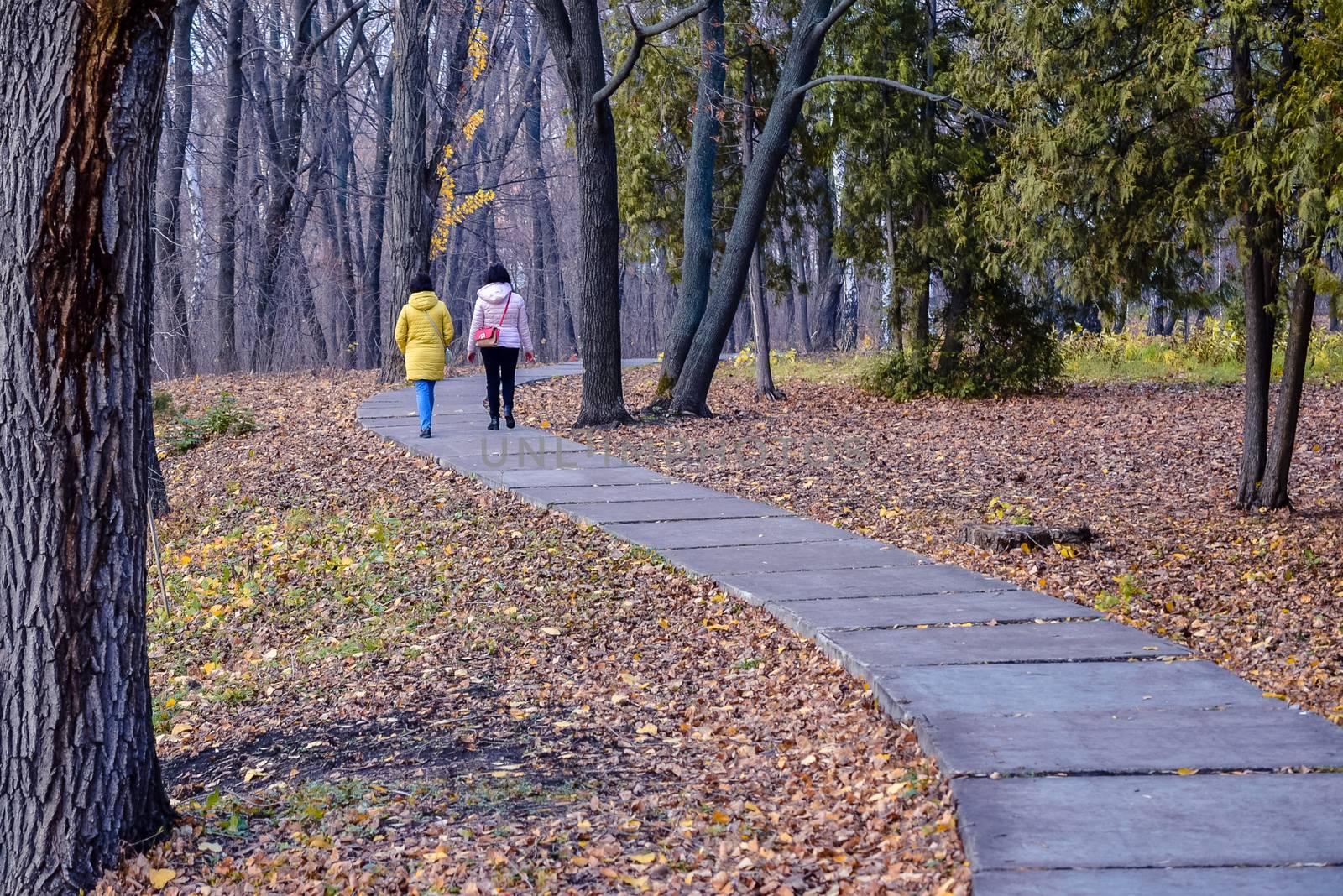 simple and sports walks in the Park in mid-autumn