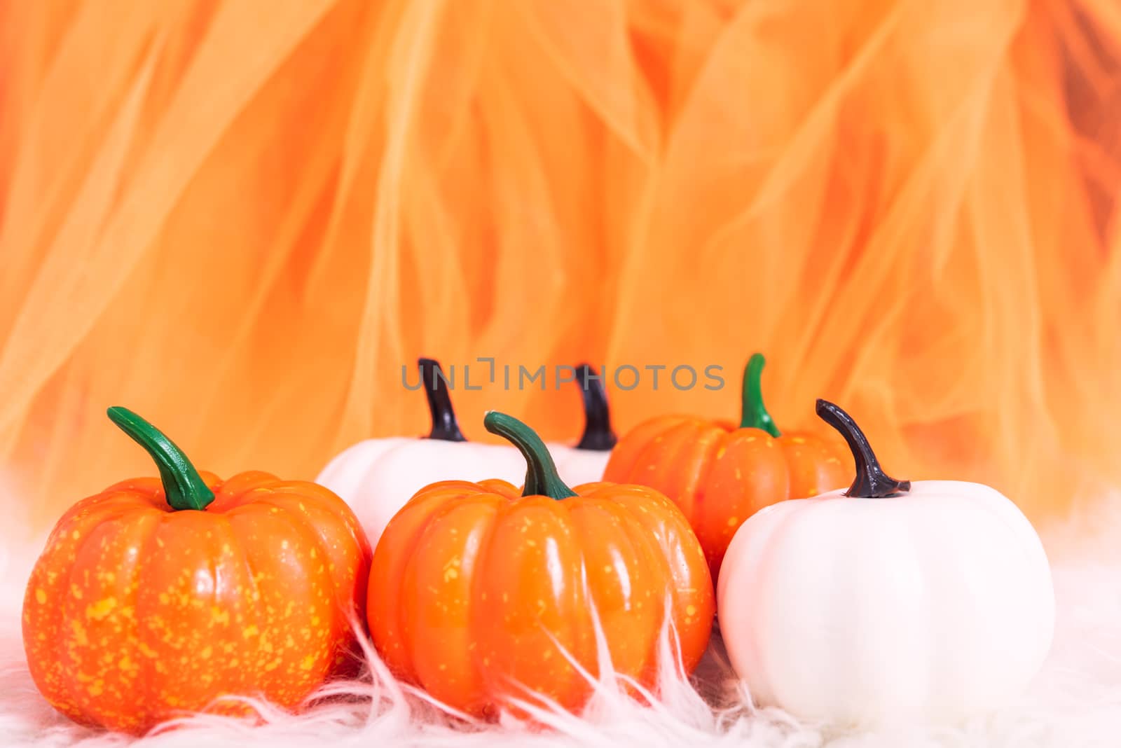 White and orange pumpkin in Halloween day concept on orange background