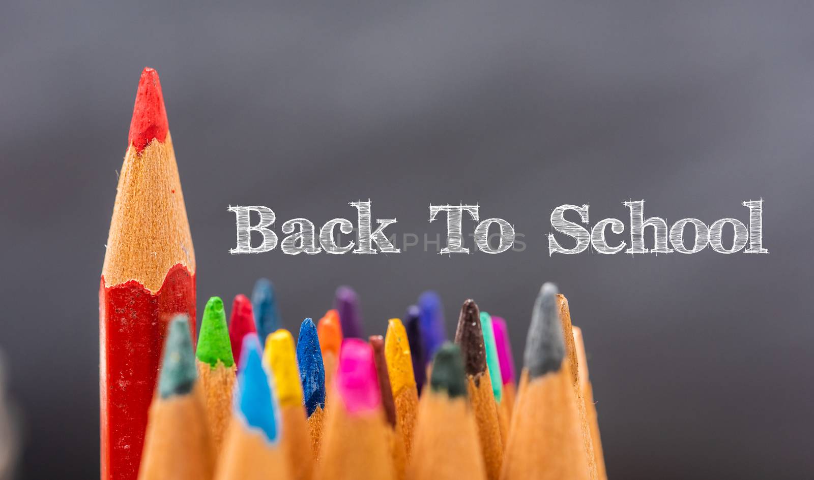 Back to school, Red pencil standing out from crowd, plenty business success concept