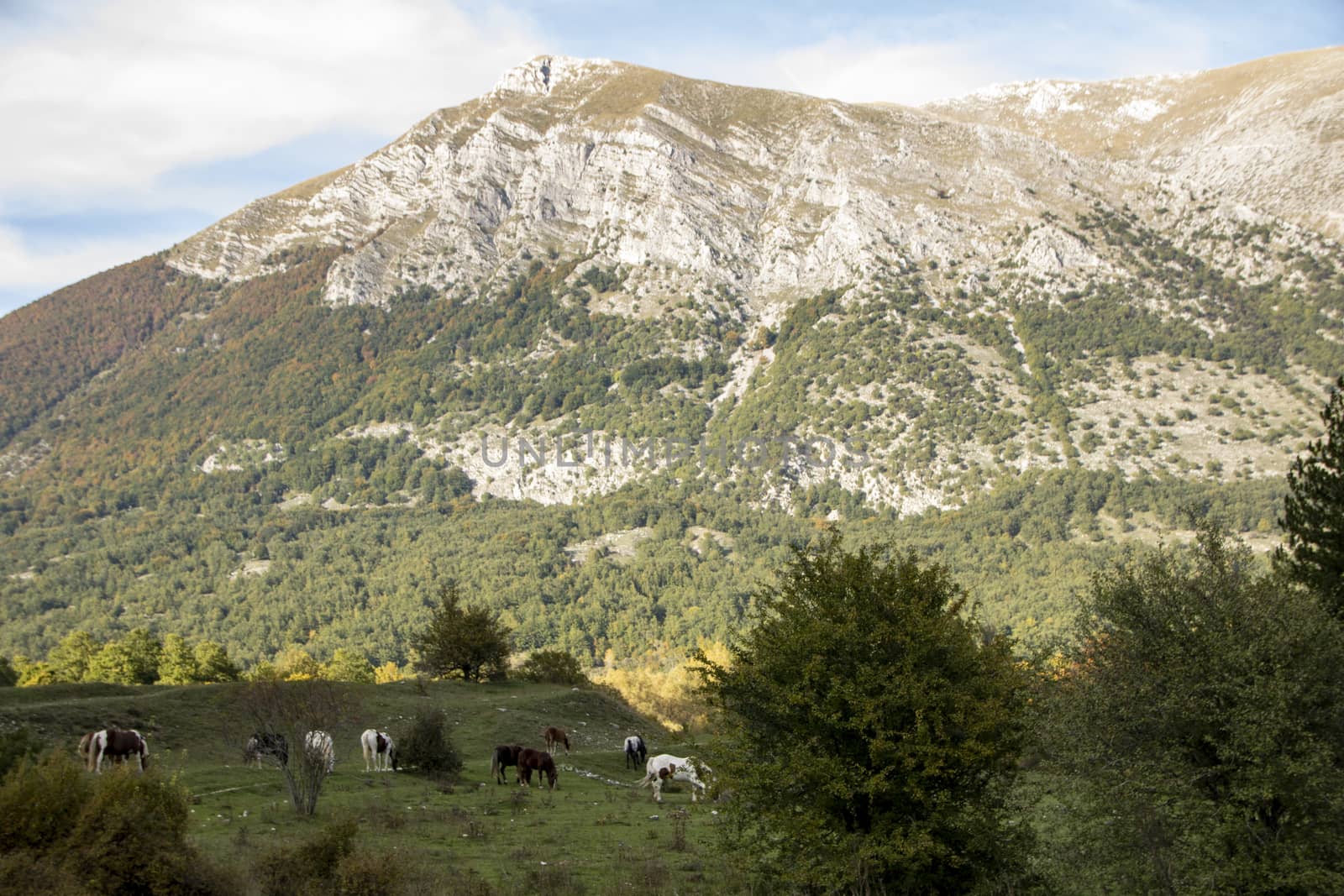 autumnal landscape of val fondillo  in Abruzzo national park, Italy