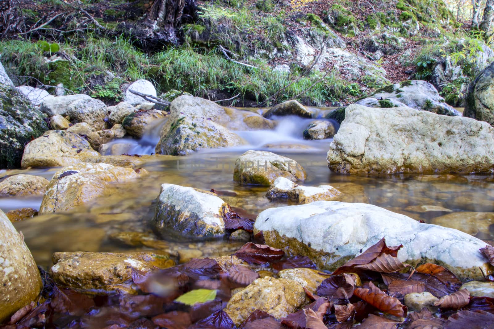 creek in the woods  of val fondillo  in autumn, Abruzzo national park, Italy