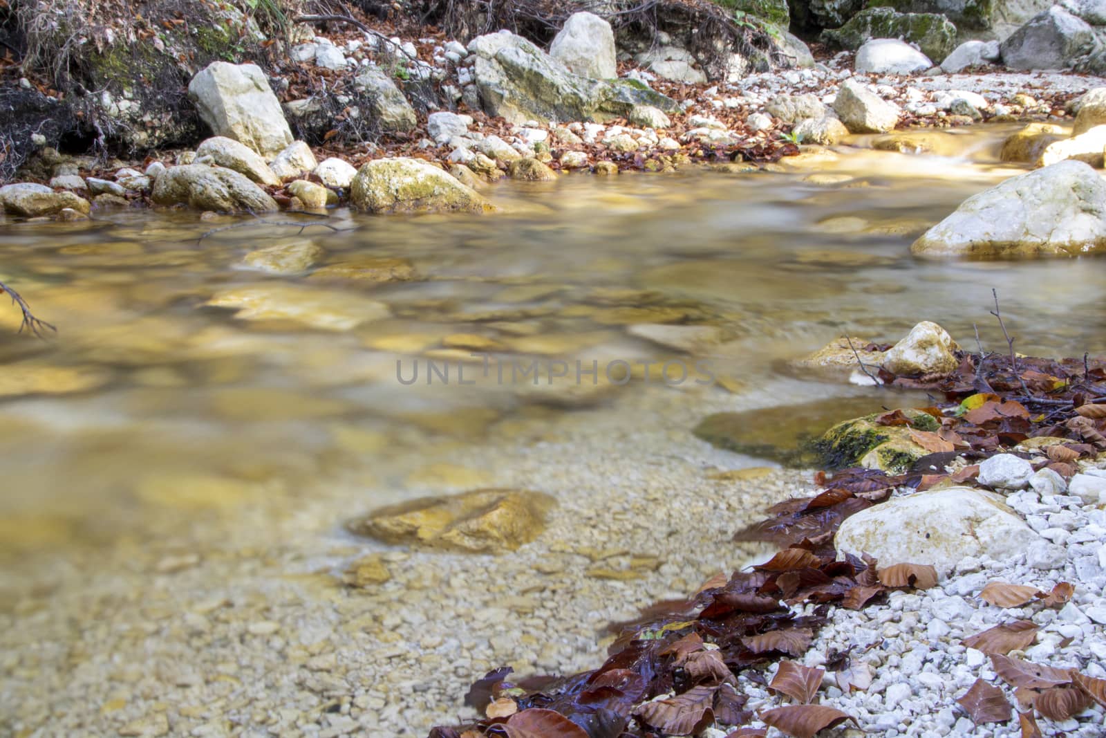 creek in the woods  of val fondillo  in autumn, Abruzzo national park, Italy