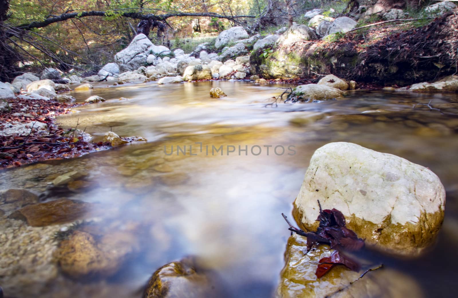 creek in the woods  of val fondillo  in autumn, Abruzzo national park, Italy