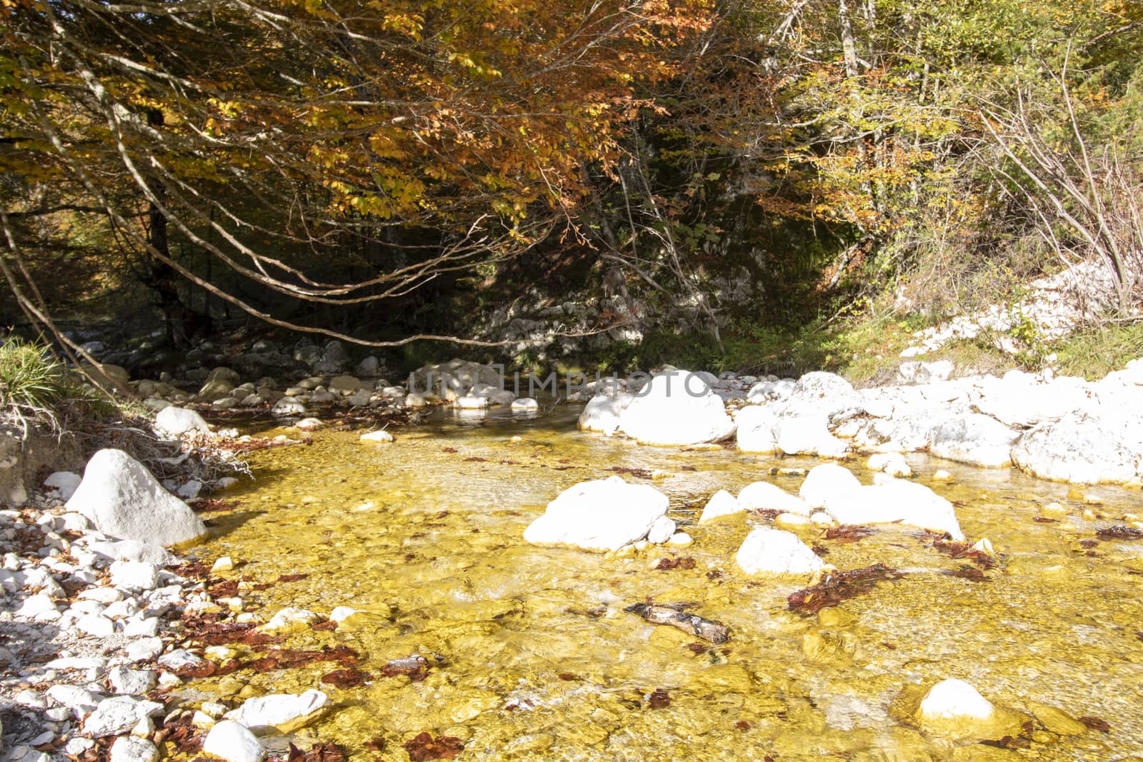 autumnal landscape of val fondillo  in Abruzzo national park, Italy
