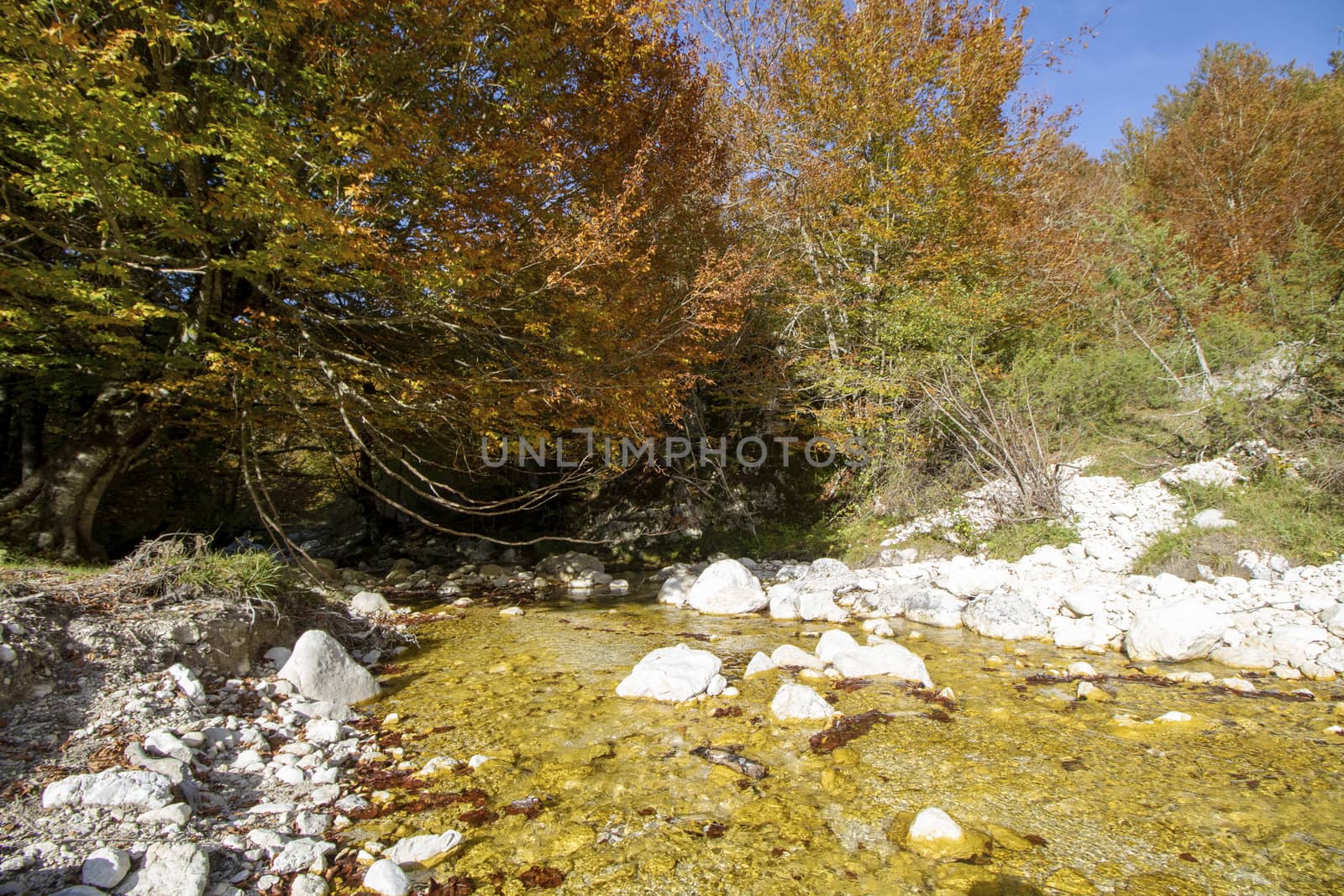 autumnal landscape of val fondillo  in Abruzzo national park, Italy