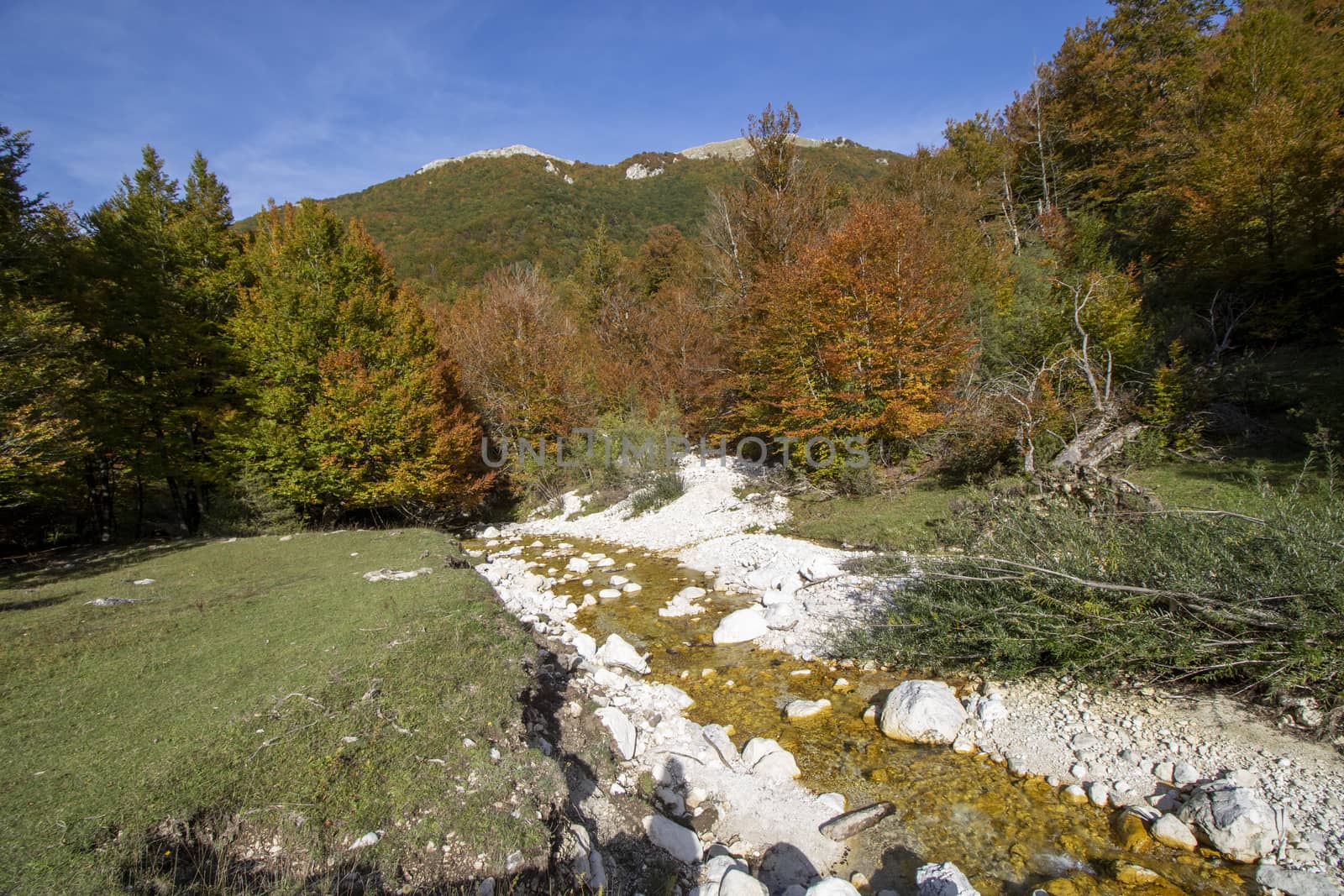 autumnal landscape of val fondillo  in Abruzzo national park, Italy