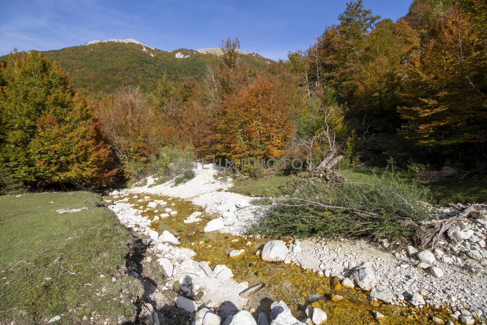 autumnal landscape of val fondillo  in Abruzzo national park, Italy