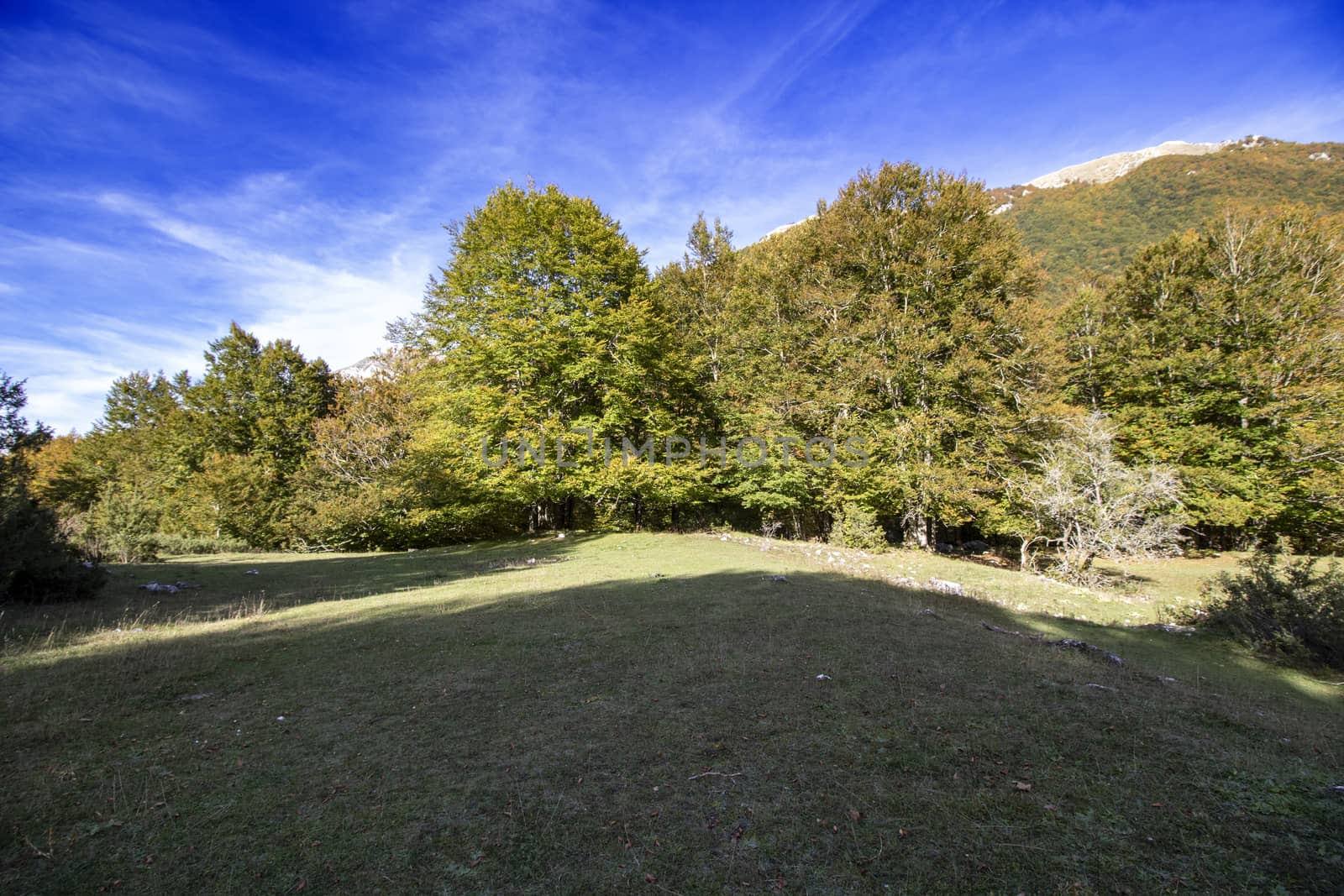 autumnal landscape of val fondillo  in Abruzzo national park, Italy