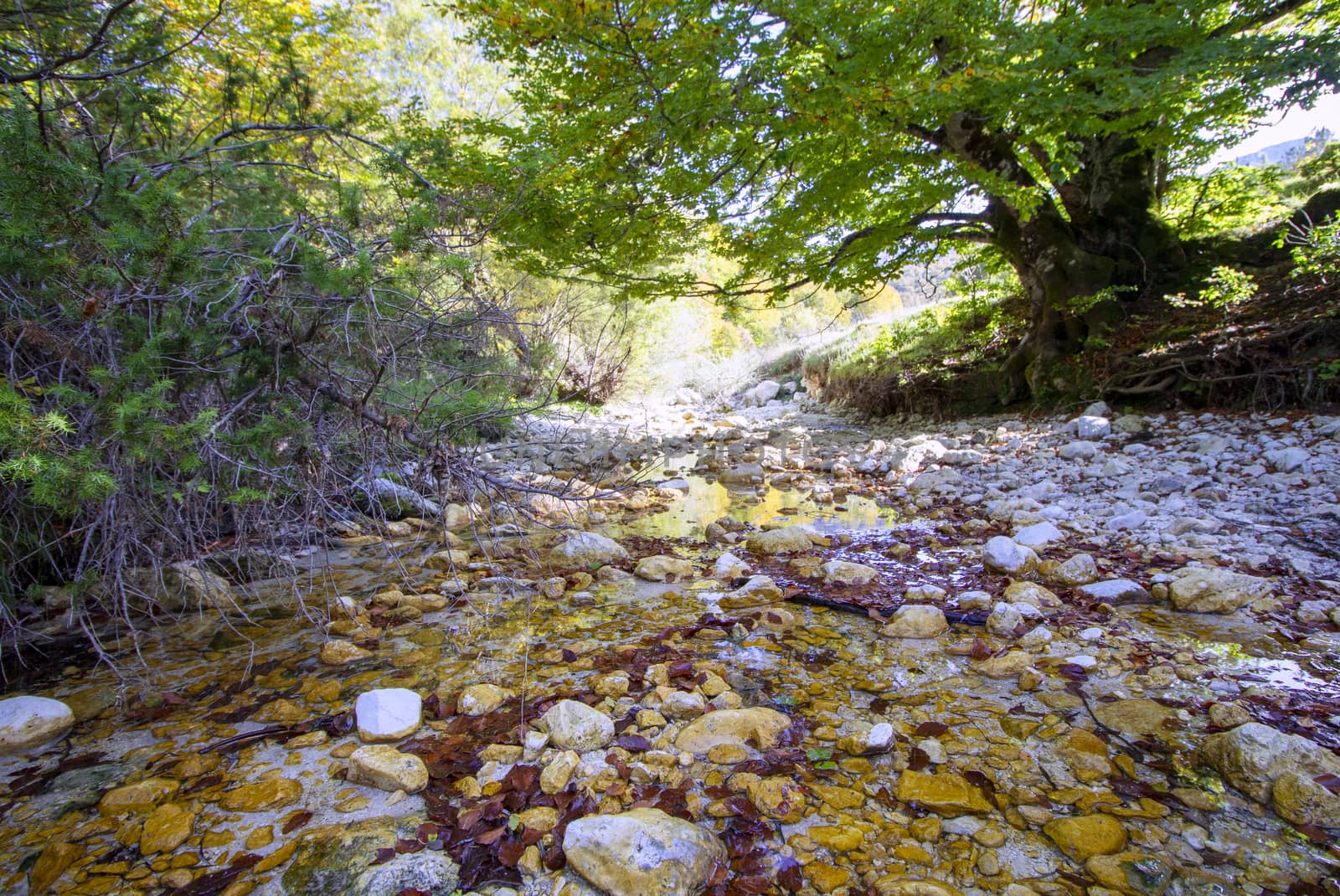 autumnal landscape of val fondillo  in Abruzzo national park, Italy