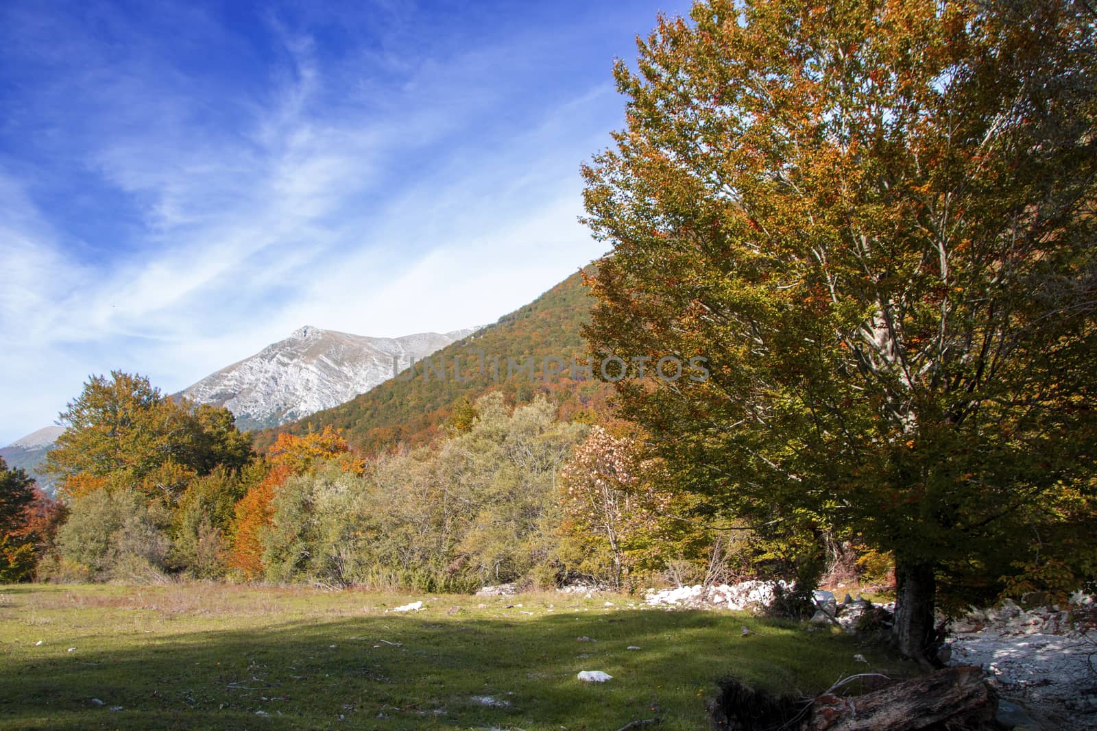 autumnal landscape of val fondillo  in Abruzzo national park, Italy