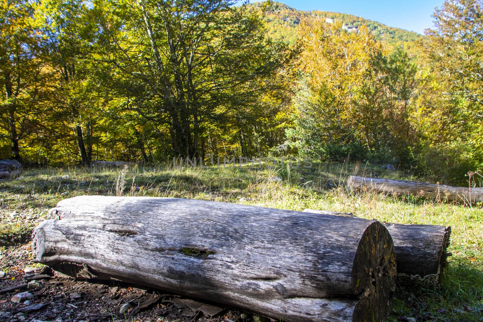 autumnal landscape of val fondillo  in Abruzzo national park, Italy